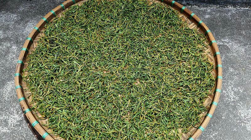 古树茶一级