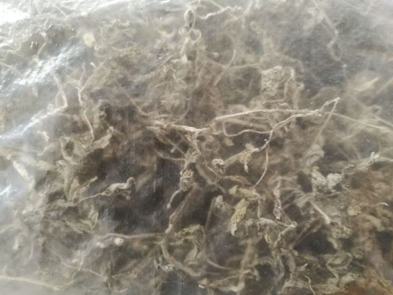 藤条茶一级