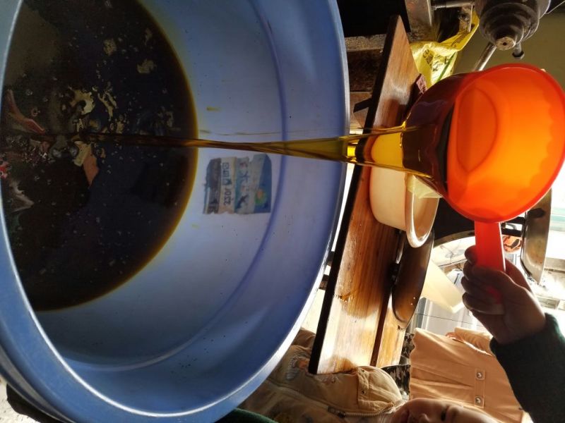 压榨菜籽油一级