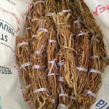 五指毛桃中根
