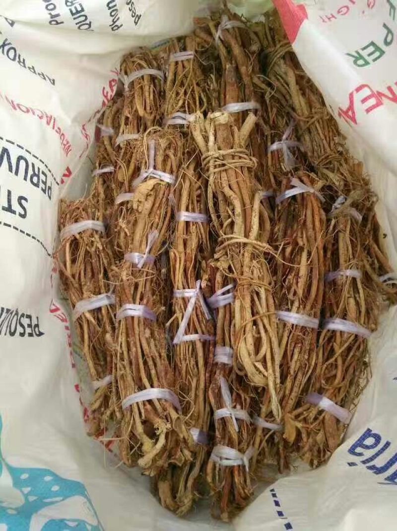 五指毛桃中根