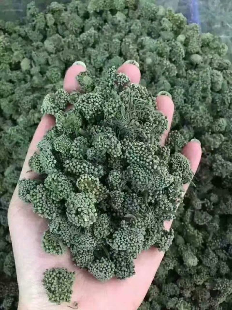 文山三七花干货鲜无柄250克一斤包邮