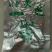 灵芝8~12公分