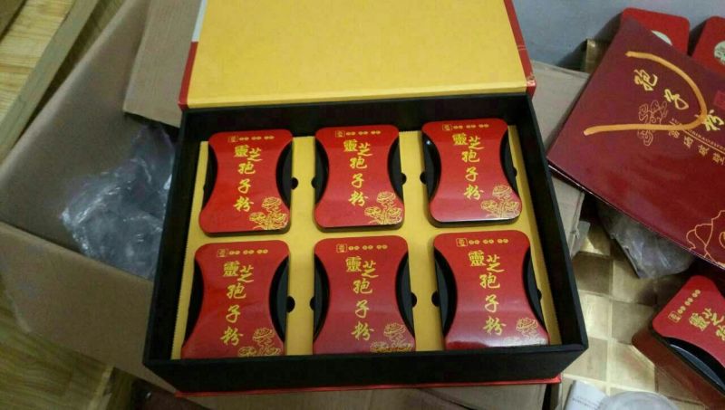 灵芝8~12公分