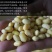 豆皮干