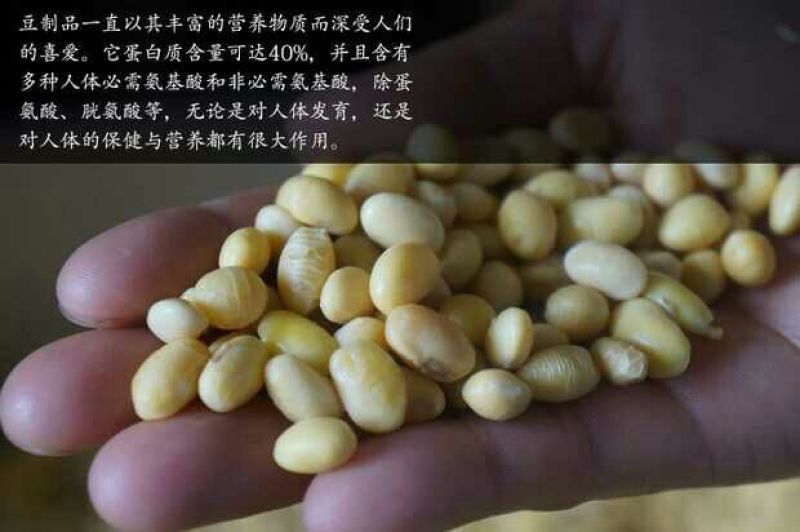 豆皮干