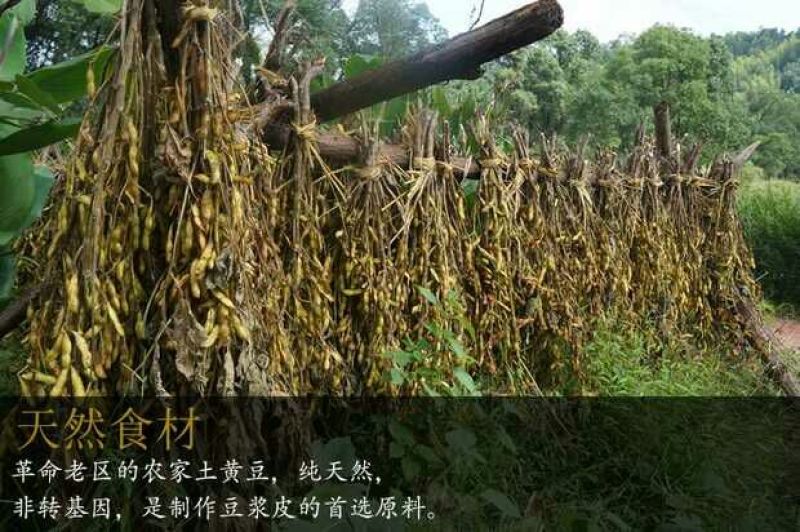 豆皮干