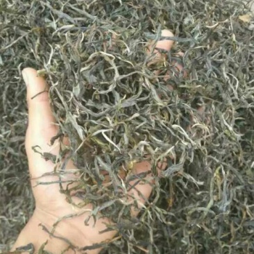 百年大树茶一级