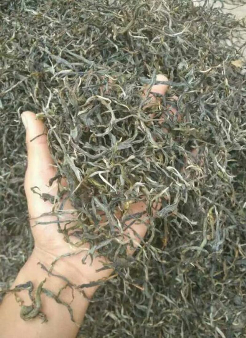百年大树茶一级