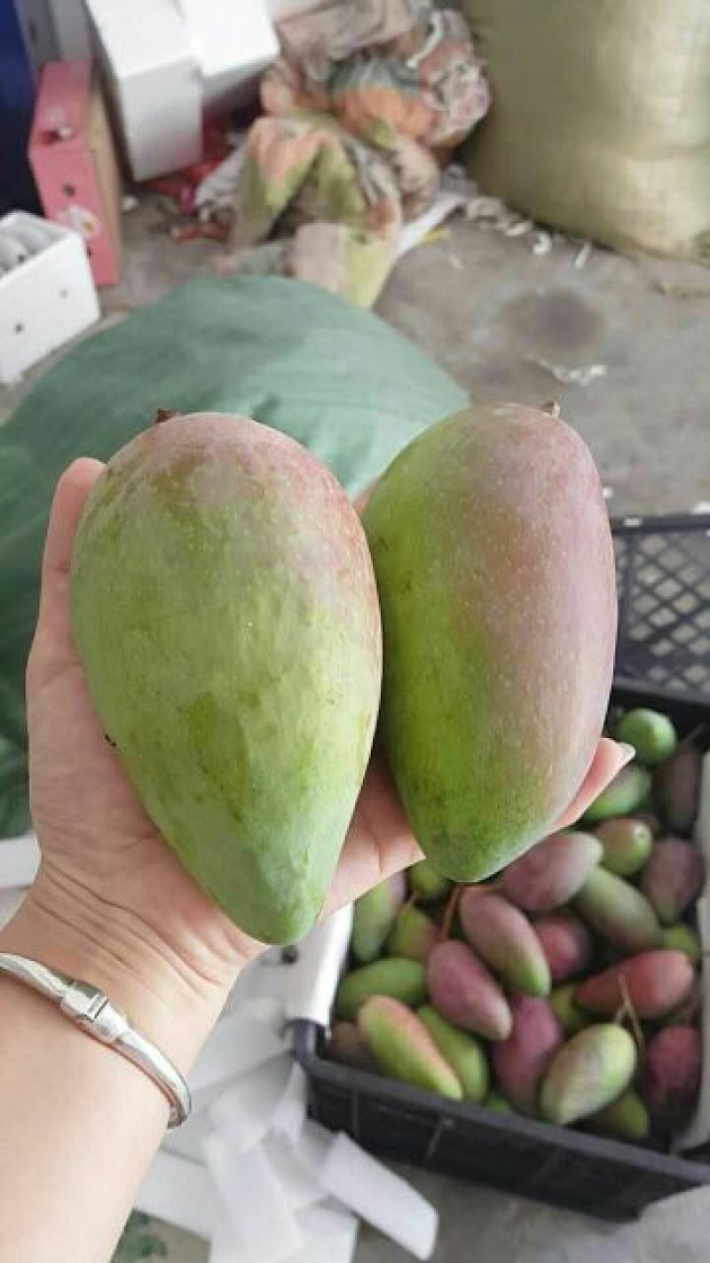 贵妃芒4两以上