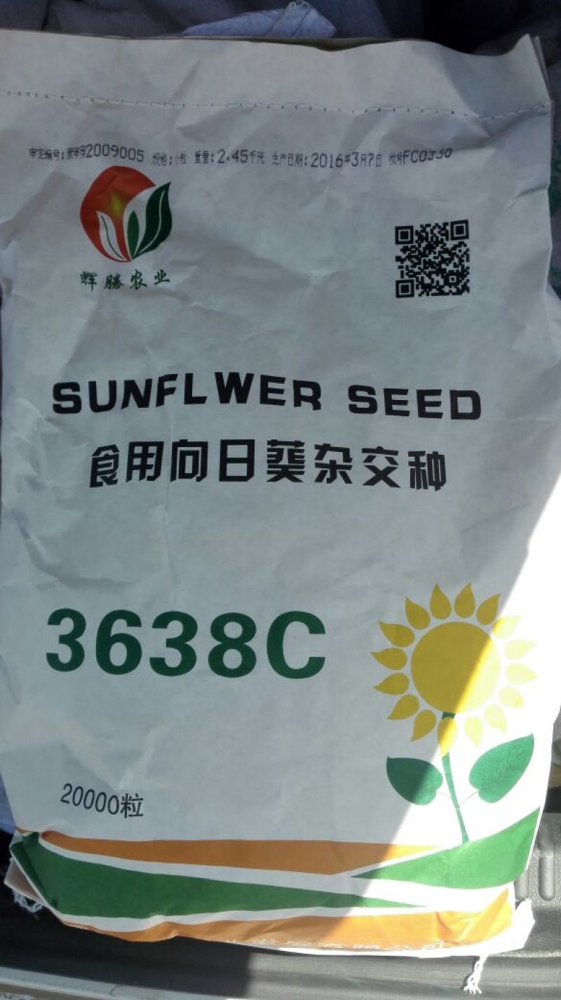 葵花种子葵花种子3袋包邮
