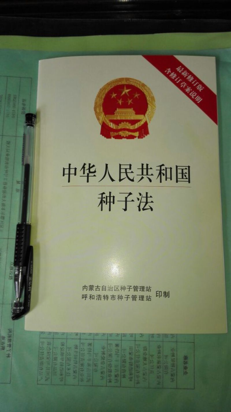 葵花种子葵花种子3袋包邮