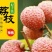 妃子笑1.5~2cm
