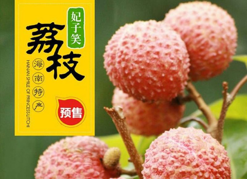 妃子笑1.5~2cm