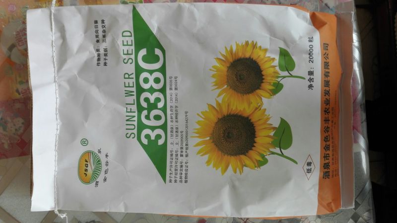 葵花种子葵花种子3袋包邮