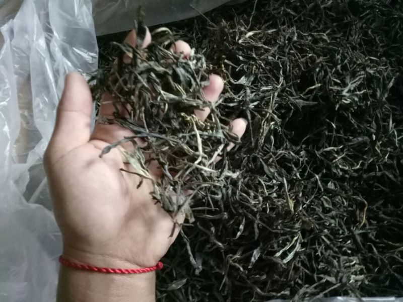 古树普洱茶二级