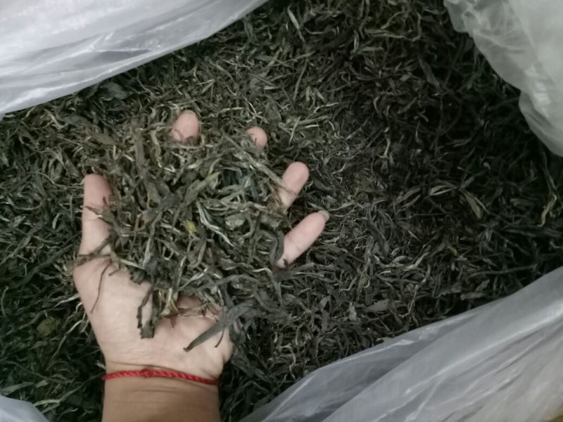 古树普洱茶二级
