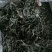 古树普洱茶二级