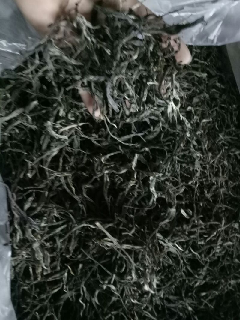 古树普洱茶二级