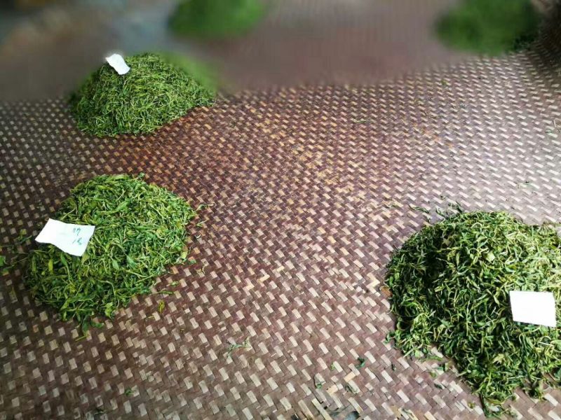 古树普洱茶二级