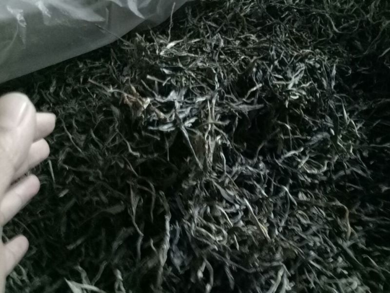 古树普洱茶二级