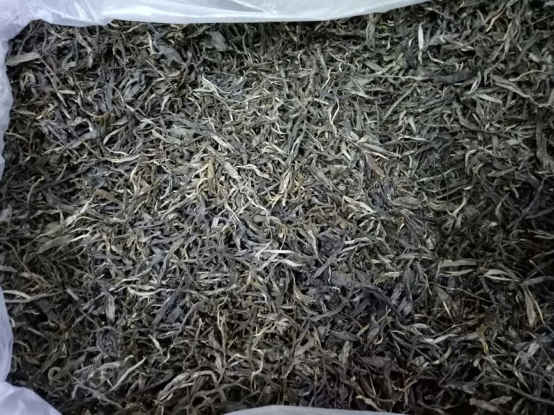 古树普洱茶二级