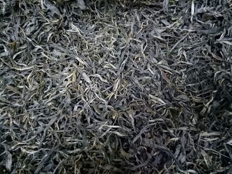 古树普洱茶二级