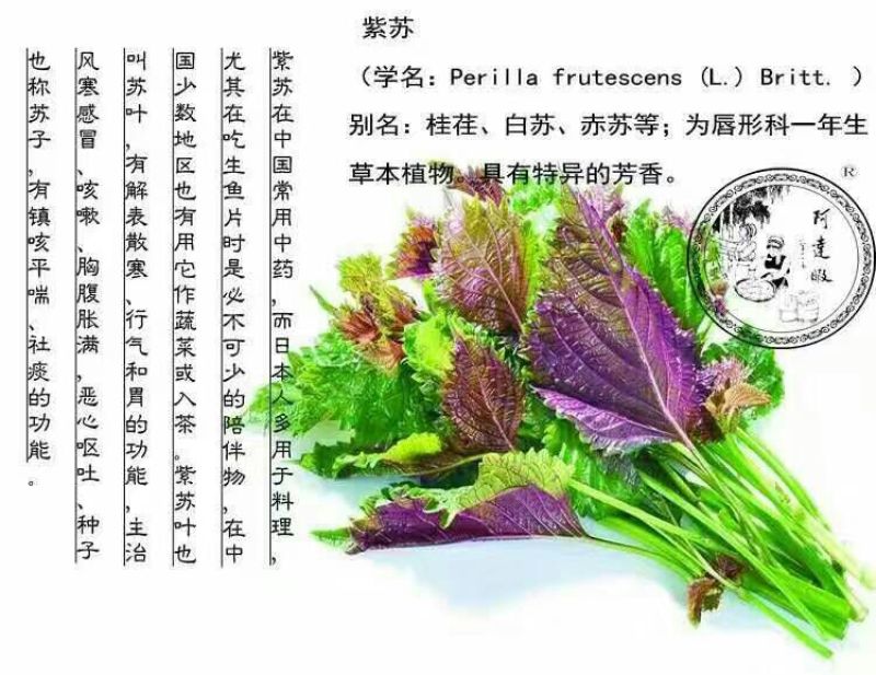 玫瑰酱