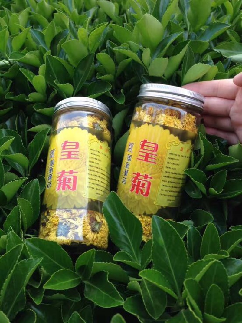 皇菊茶