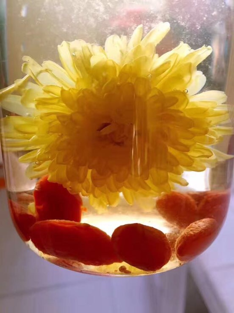 皇菊茶
