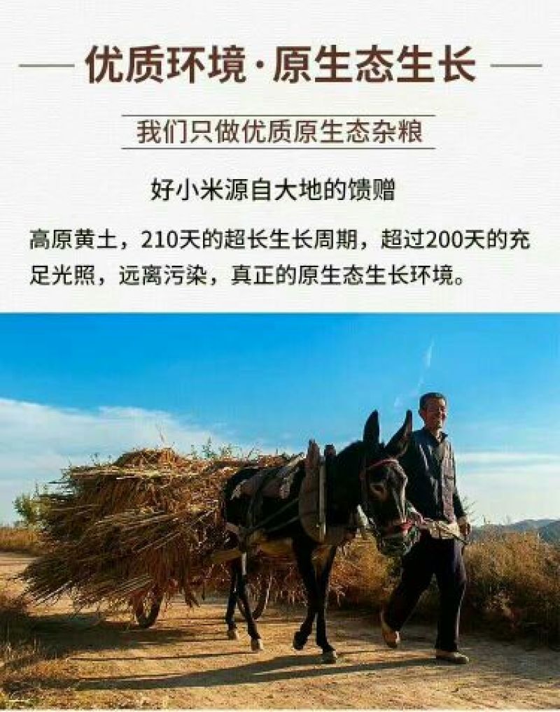 小米散装