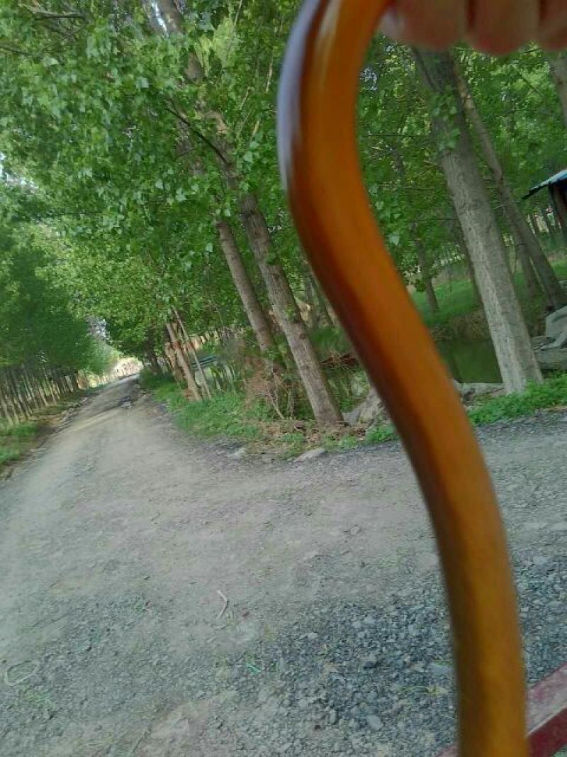 黄鳝食用活鱼微山湖自然生长全国各地均可直达