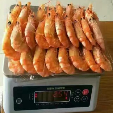 干虾