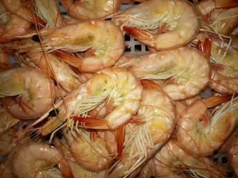 干虾