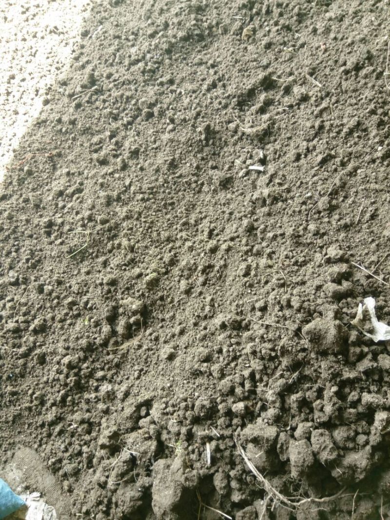 飞元大蚯蚓粪10kg*5袋