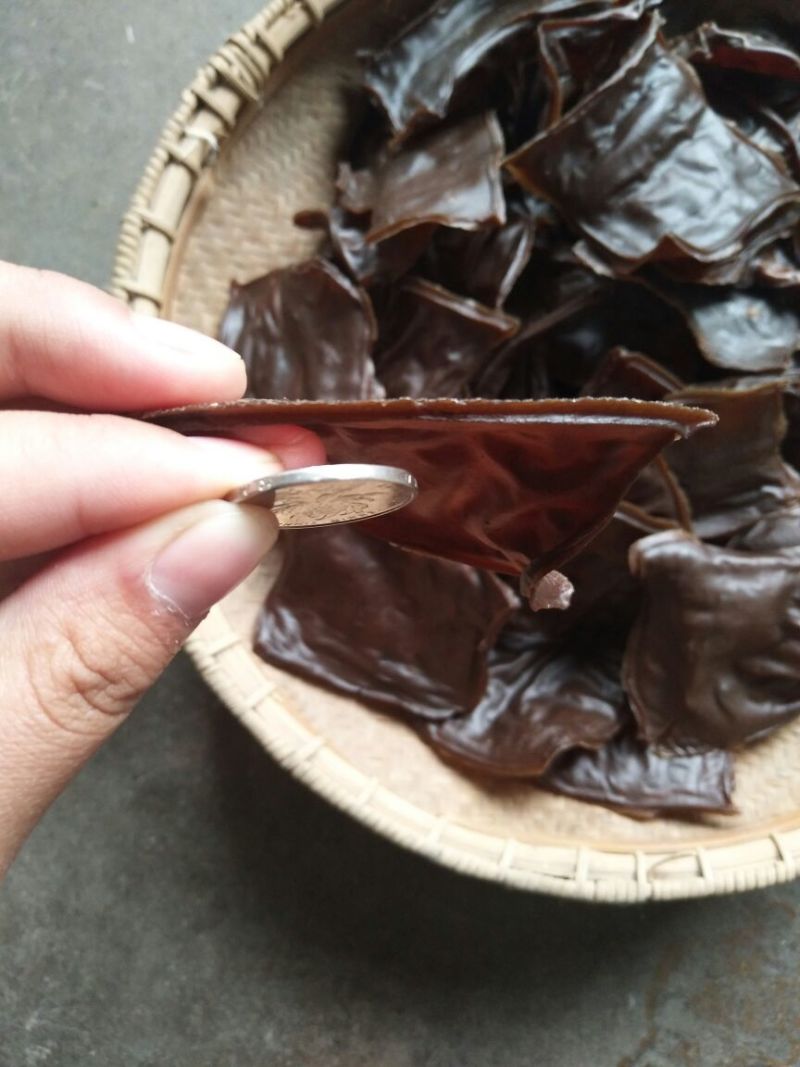 灰豆腐果