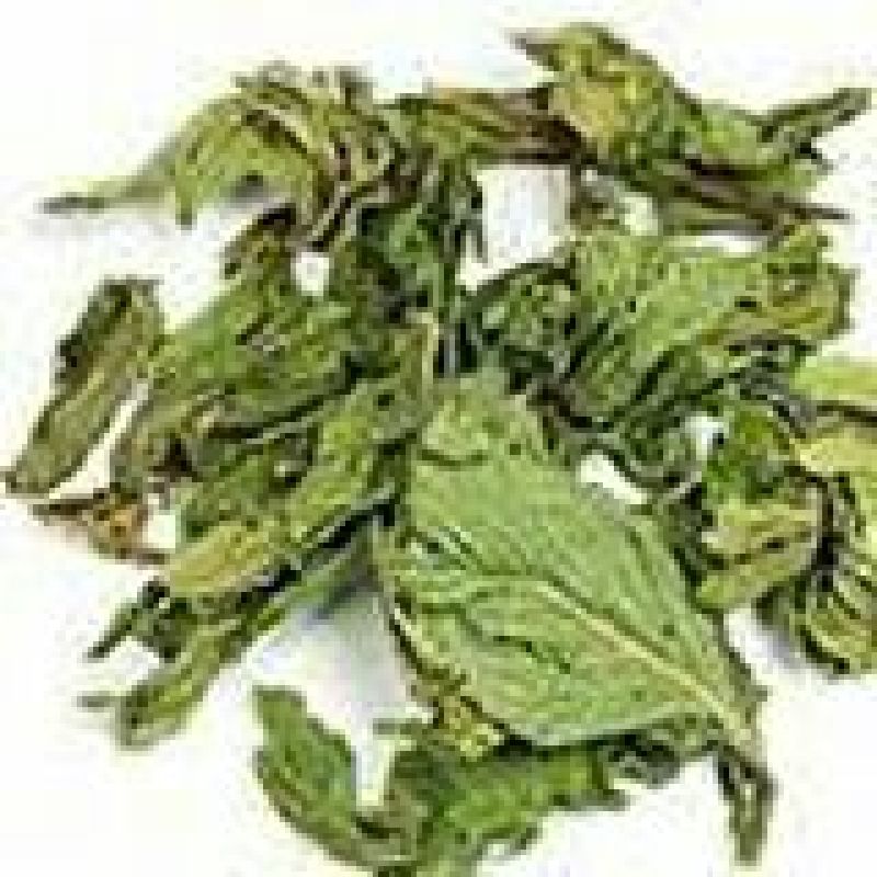 薄荷叶统，新鲜的薄荷苗，四季常青，又是美味