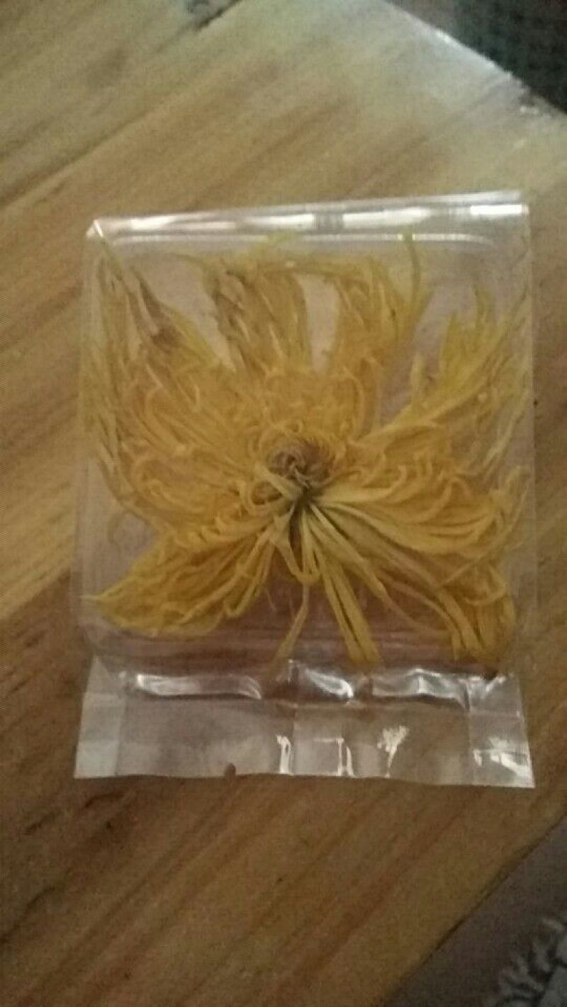 菊花苗