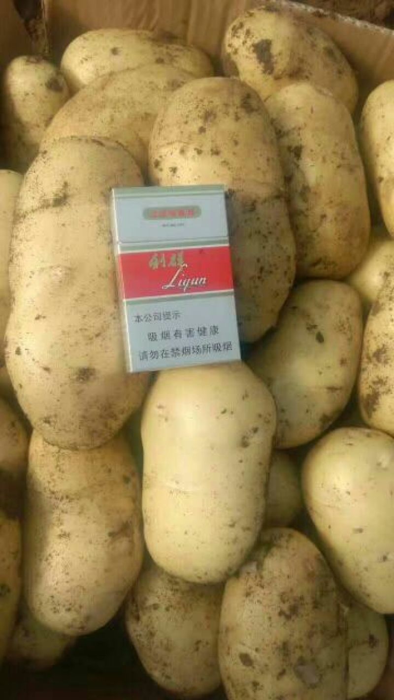 荷兰十五土豆，希森土豆，V7，3两及以上