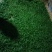 百年大树茶一级