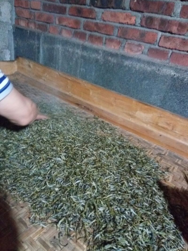 百年大树茶一级