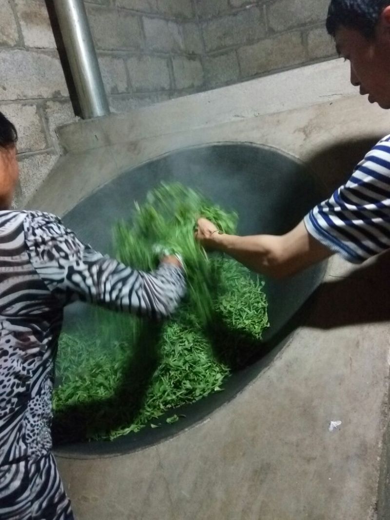 百年大树茶一级