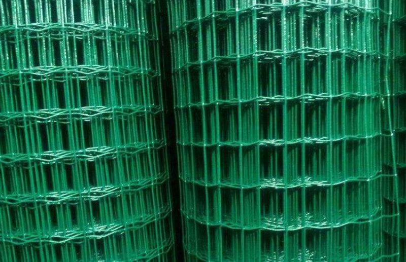 荷兰网50*50mm