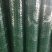 荷兰网50*50mm