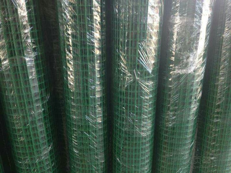 荷兰网50*50mm