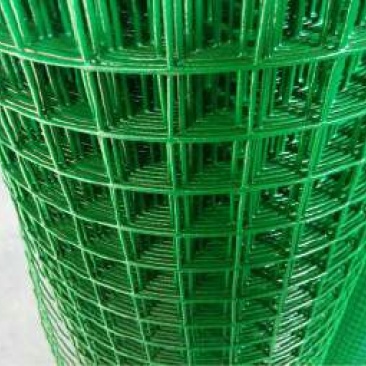 荷兰网50*50mm