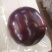 紫光圆茄5两以上