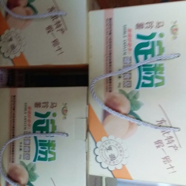 马铃薯淀粉散装