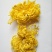菊花茶特级
