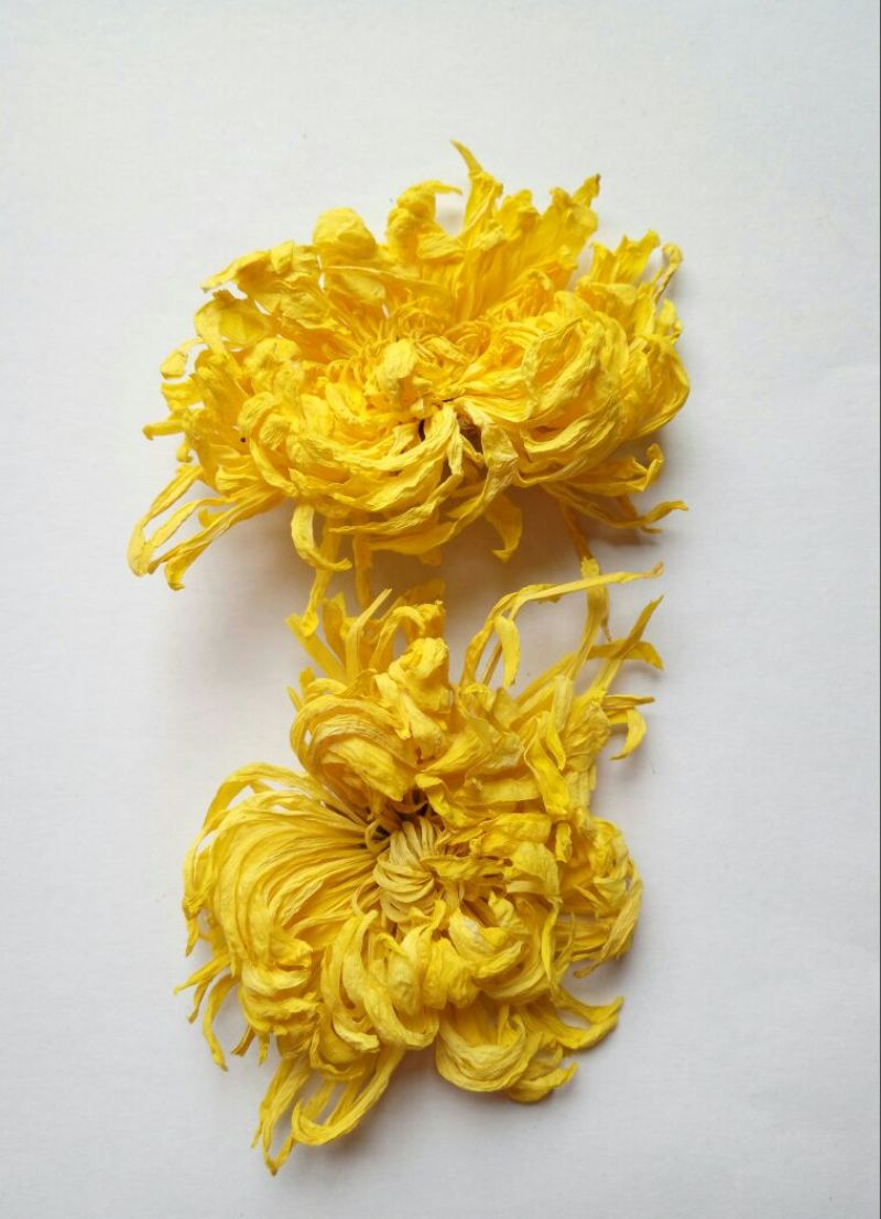 菊花茶特级